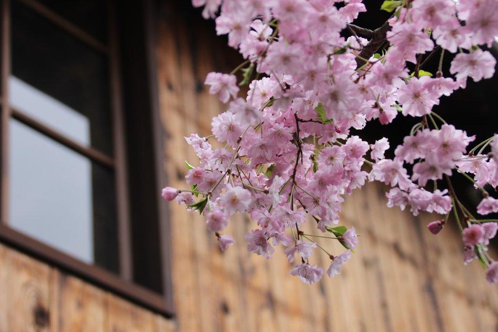 Haruya Umekoji Hostel Kiotó Kültér fotó